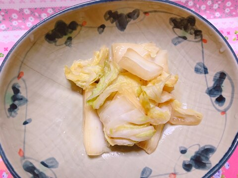 ヨーグルト味噌の白菜漬け(赤味噌・塩あり)